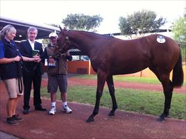 Inglis Easter Yearling Sale 2011 Lot 23 Flying Spur x Rose Of Latakia filly